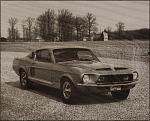 Click image for larger version. 

Name:	Stang2.jpg 
Views:	718 
Size:	358.1 KB 
ID:	13527
