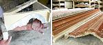 Click image for larger version. 

Name:	0109hunt-mould-originalmould.jpg 
Views:	327 
Size:	128.9 KB 
ID:	18951