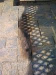 Click image for larger version. 

Name:	IMG_20170402_154121.jpg 
Views:	477 
Size:	89.5 KB 
ID:	21351
