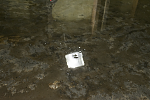 Click image for larger version. 

Name:	DSC_0343.png 
Views:	1959 
Size:	988.1 KB 
ID:	28623