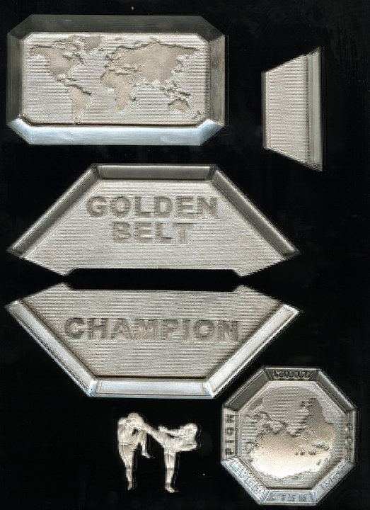 BELTS