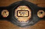 BELTS 2