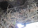 Click image for larger version. 

Name:	IMG_0151.jpg 
Views:	439 
Size:	357.4 KB 
ID:	5713