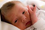Click image for larger version. 

Name:	IMGP0016.JPG 
Views:	237 
Size:	617.9 KB 
ID:	5859