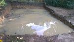 Click image for larger version. 

Name:	paddling pool of porridge.jpg 
Views:	401 
Size:	263.7 KB 
ID:	7088