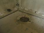 Click image for larger version. 

Name:	DSC00094 (Medium).JPG 
Views:	777 
Size:	77.8 KB 
ID:	7571