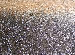 Click image for larger version. 

Name:	wrinkle2.jpg 
Views:	1179 
Size:	130.5 KB 
ID:	8071